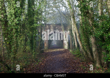 Vecchia ferrovia via e ponte a South Cerney - ora fa parte di una riserva naturale Foto Stock