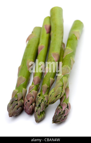 Un piccolo pacchetto di asparagi raccolti spears isolato su uno sfondo bianco Foto Stock