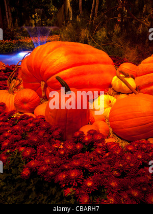 Autunno mostra nei giardini dell'Hotel Bellagio, Las Vegas. Foto Stock