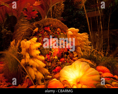 Autunno mostra nei giardini dell'Hotel Bellagio, Las Vegas. Foto Stock