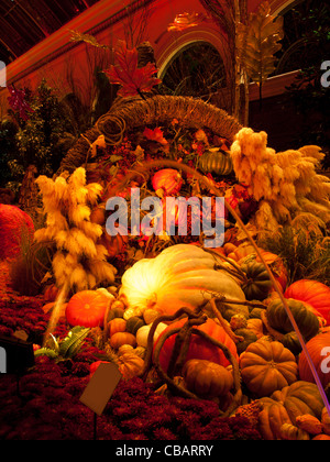 Autunno mostra nei giardini dell'Hotel Bellagio, Las Vegas. Foto Stock