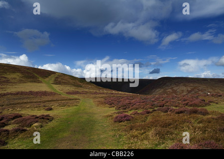 Via rotonda tra collina e croce Dyke sulla lunga passeggiata Mynd, vicino a Church Stretton. Shropshire, Inghilterra, Regno Unito Foto Stock