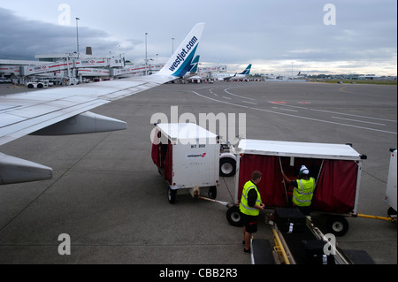 Bagagli fuori su asfalto lo scarico di un aereo in un aeroporto Foto Stock