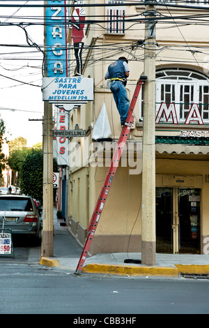 Telefono lineman sulla scala appoggiata contro streetcorner pole lavorando la riparazione di linee nel quartiere Roma Città Del Messico Foto Stock