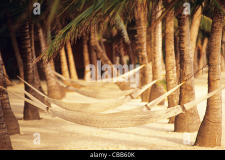 Isole di Cook, Kūki 'Āirani, Oceano Pacifico del Sud, Aitutaki, Aitutaki Resort, Spiaggia scena, amache tra alberi di noce di cocco Foto Stock