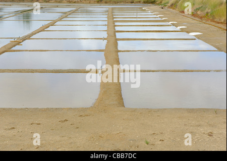 Foto di stock di mare per la produzione di sale sulla Ile d'Oleron, Francia. Foto Stock