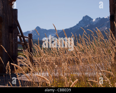 Porta dell'ultimo dollaro Ranch in autunno con una vista di Dallas dividere sul retro. Foto Stock