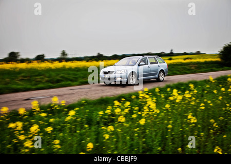 Skoda Octavia Combi III 1,6 75kW GPL Gas di petrolio liquefatto autogas, verde, CO2 (CTK foto/Josef Horazny) Foto Stock