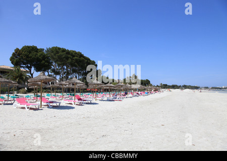 La vasta e la spiaggia di sabbia con colorate sedie a sdraio a Alcudia sull'isola delle Baleari di Mallorca, Spagna Foto Stock