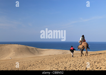 Tottori dune di sabbia, Tottori, Tottori, Giappone Foto Stock