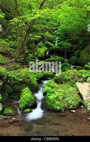 Amedaki Valley, Tottori, Tottori, Giappone Foto Stock