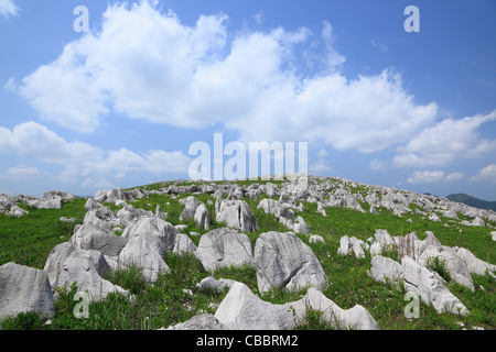 Altopiano Akiyoshidai, miniera, Yamaguchi, Giappone Foto Stock