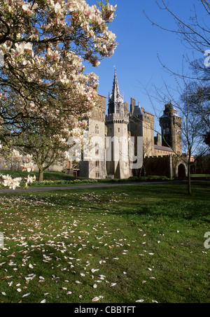 Il Castello di Cardiff in primavera da Bute Park Cardiff South Wales UK Foto Stock