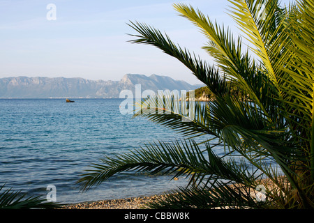 Spiaggia Vicino Vrila campeggio nella parte meridionale di Trpanj, Croazia Foto Stock