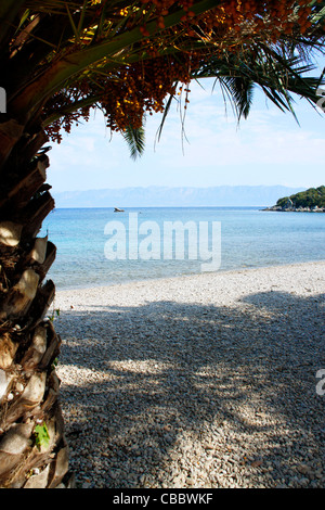 Spiaggia Vicino Vrila campeggio nella parte meridionale di Trpanj, Croazia Foto Stock