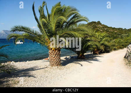 Spiaggia Vicino Vrila campeggio nella parte meridionale di Trpanj, Croazia Foto Stock