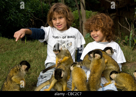 Attività per bambini: mondo degli uccelli & Monkey Jungle - i bambini con le scimmie di velluto Foto Stock