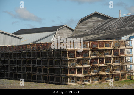 Trappole di aragosta grazia il primo piano nel porto di lavoro di North Lake Harbour, P.E.I. Foto Stock