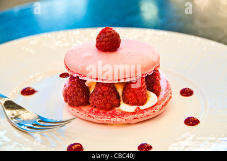 Parisian macarons francese Laduree autentica Foto Stock