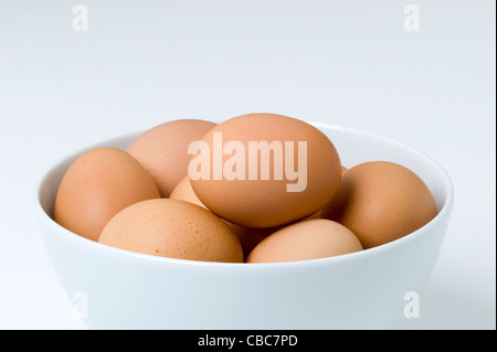 Una ciotola di marrone uova di galline in una ciotola bianco su sfondo bianco Foto Stock