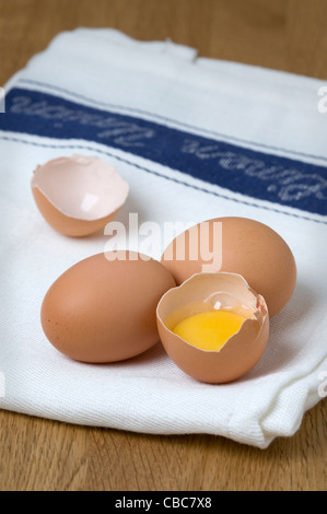 Brown uova di galline su un tè bianco asciugamano con un acciaio inossidabile Sbattere un uovo rotto e separata che mostra il bianco d'uovo e il tuorlo d'uovo Foto Stock