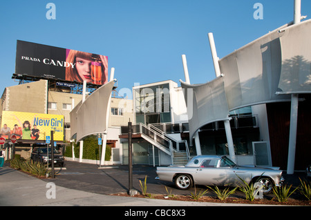 Sunset Boulevard Beverly Hills Los Angeles Stati Uniti d'America American USA Foto Stock