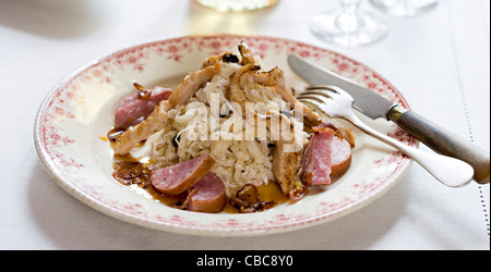 Cremosa di crauti con carne di pollo Foto Stock