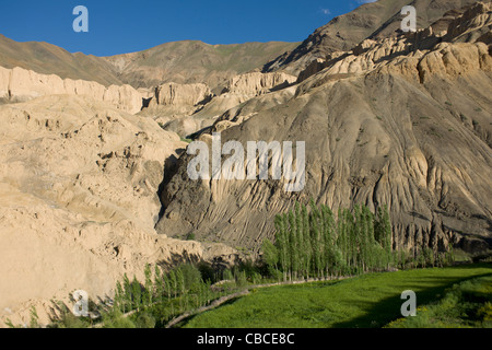 Moonland, nei pressi di Lamayuru sull'autostrada Srinagar-Leh, (Ladakh) Jammu e Kashmir India Foto Stock