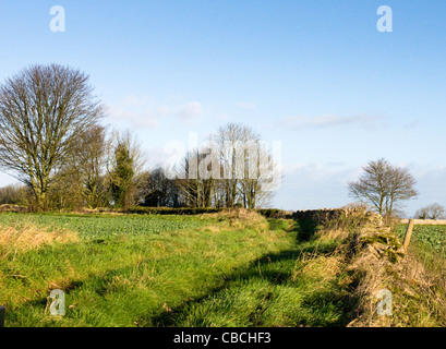 Cold Ashton South Gloucestershire England Regno Unito Foto Stock