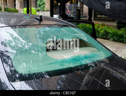 La rottura di un auto parabrezza posteriore Foto Stock