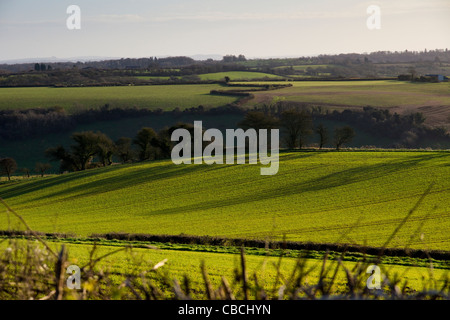 Cold Ashton South Gloucestershire England Regno Unito Foto Stock