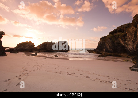 Passi impronte in sabbia sulla spiaggia Horseshoe Bay, Bermuda. Foto Stock
