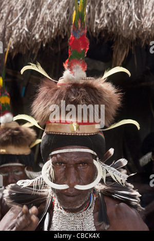 Guerriero di Dani Tribe, Il Baliem Valley, Papua occidentale, in Indonesia Foto Stock