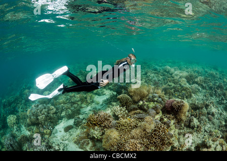 Lo snorkeling nella laguna di Ahe Island, Cenderawasih Bay, Papua occidentale, in Indonesia Foto Stock