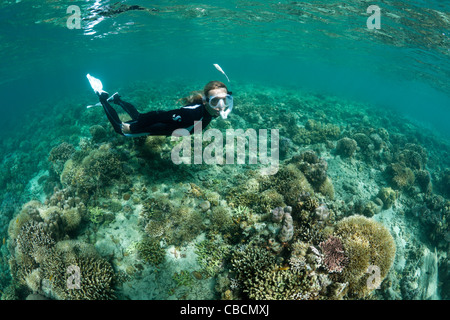 Lo snorkeling nella laguna di Ahe Island, Cenderawasih Bay, Papua occidentale, in Indonesia Foto Stock