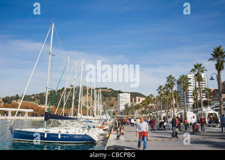 Il recentemente rinnovato porto di Malaga, Costa del Sol, Andalusia. Foto Stock