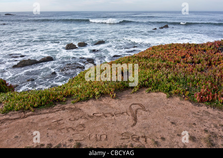 Messaggio nella sabbia, "Ho guardato il tramonto", ha scoperto una domenica mattina vicino a Pigeon Point Lighthouse a sud di San Francisco. Foto Stock