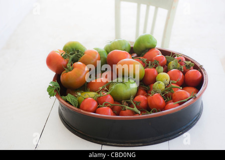 Pomodori freschi in grande piatto Foto Stock