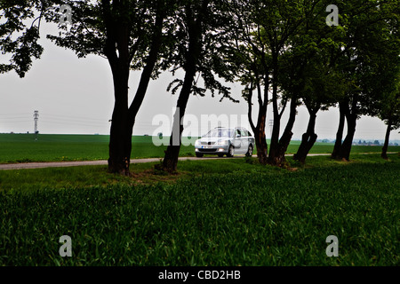 Skoda Octavia Combi III 1,6 75kW GPL Gas di petrolio liquefatto autogas, verde, CO2 (CTK foto/Josef Horazny) Foto Stock