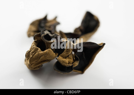 Essiccato orecchie di Giuda (Auricularia polytricha) Foto Stock