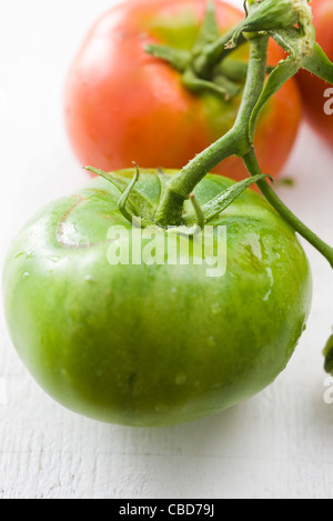 La maturazione dei pomodori, close-up Foto Stock