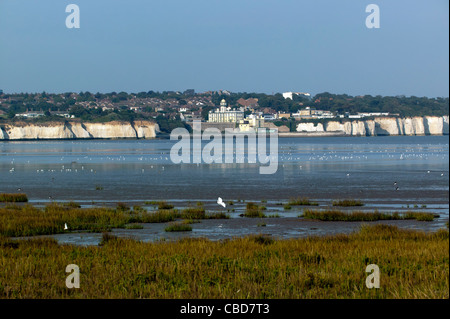 Pegwell Bay Riserva Naturale, Kent REGNO UNITO. Foto Stock