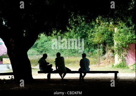 Tre uomini indiano seduto a parlare sotto un albero nella campagna indiana. Silhouette. Andhra Pradesh, India Foto Stock