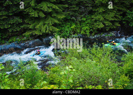 Due kayakers sul medio forcella del fiume Snoqualmie, Washington, Stati Uniti d'America. Foto Stock