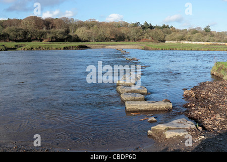 Pietre miliari sul fiume Ewenny, Ogmore Castle Foto Stock
