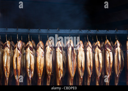 Fumatori trota di fiume pesce in un forno tradizionale Foto Stock