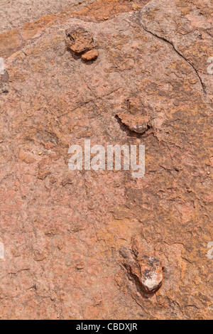 Fossili di dinosauro le vie a Torotoro parco nazionale in Bolivia (velociraptor o più generalmente dalla famiglia Coelurosaur) Foto Stock