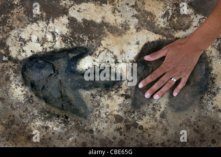 80 milioni di euro-anno-vecchio di orme di dinosauri a Tambuc vicino a Bicorp in Spagna. Foto Stock