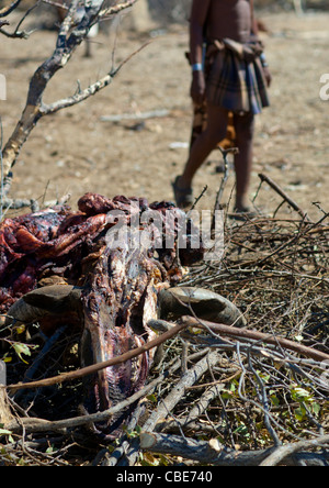 Muhimba, villaggio di Elola, Angola Foto Stock