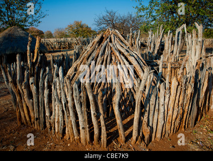 Enclosure di bovini, villaggio di Mahine, Angola Foto Stock